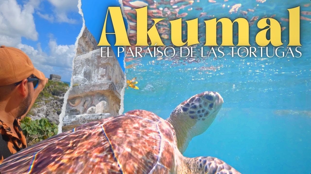 ✅AKUMAL ► Nado con tortugas  🔴GUIA COMPLETA🔴 El paraiso de las Tortugas - REY TRIPS