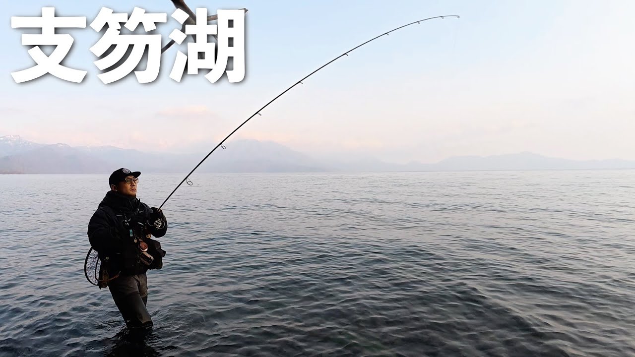 SSPジグで沢山釣れた朝まずめ