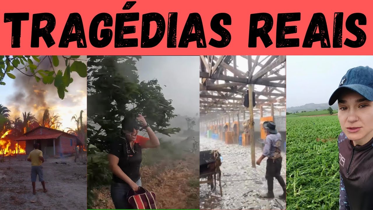 TRAGÉDIAS na ROÇA: os 4 elementos da destruição! A natureza mostrando quem manda.