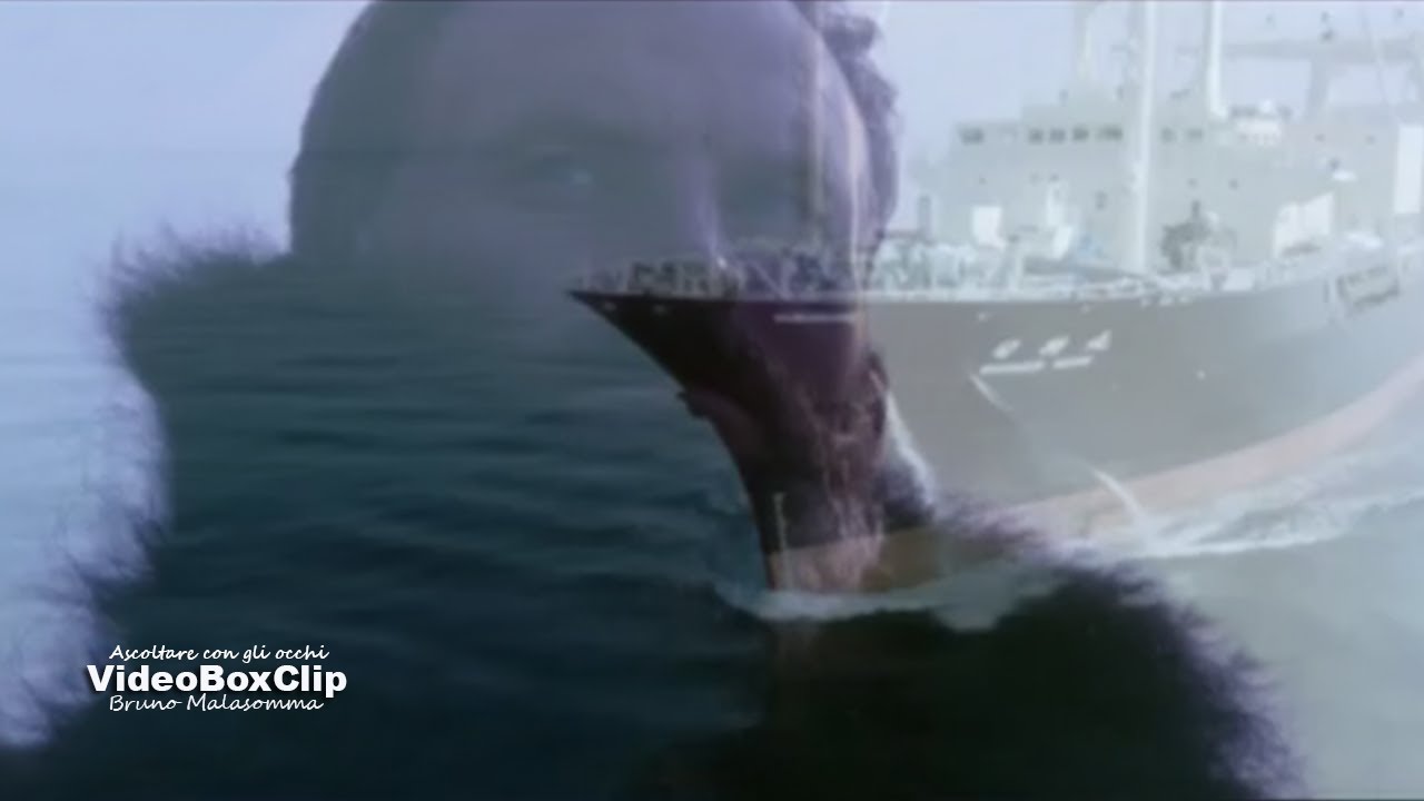Francesco De Gregori | I Muscoli Del Capitano