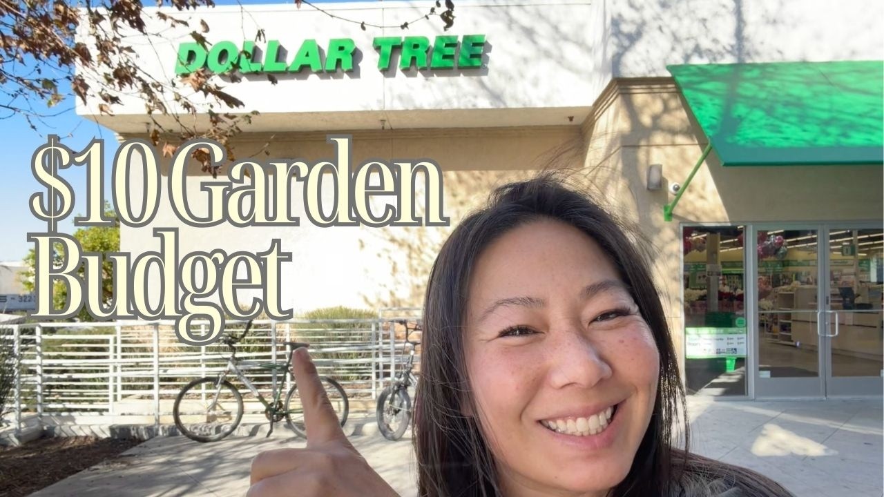 У меня было 10 минут и 10 долларов, вот что садоводам стоит купить в Dollar Tree.