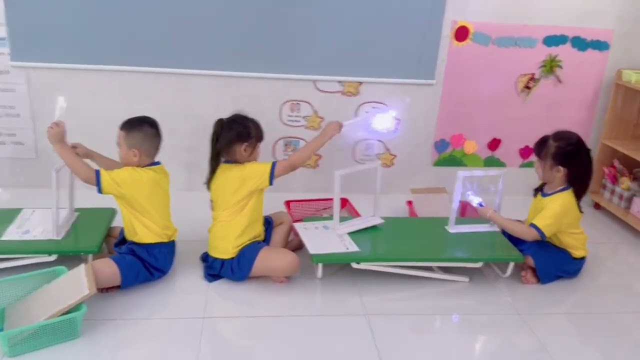 MNHY- Lá 1- ánh sáng truyền qua vật