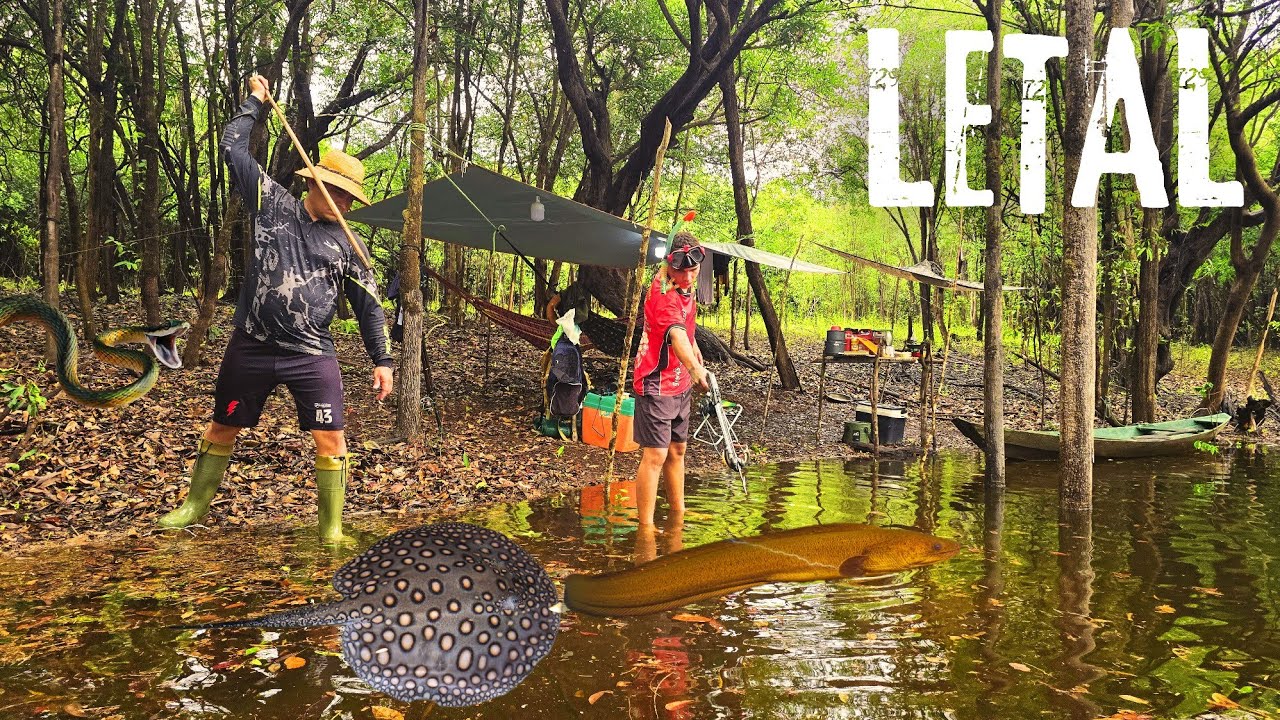 SOBREVIVENDO na selva Amaz&ocirc;nica: PESCANDO e ACAMPANDO teve Peixe-El&eacute;trico,Arraia,Cobra e Muita Chuva