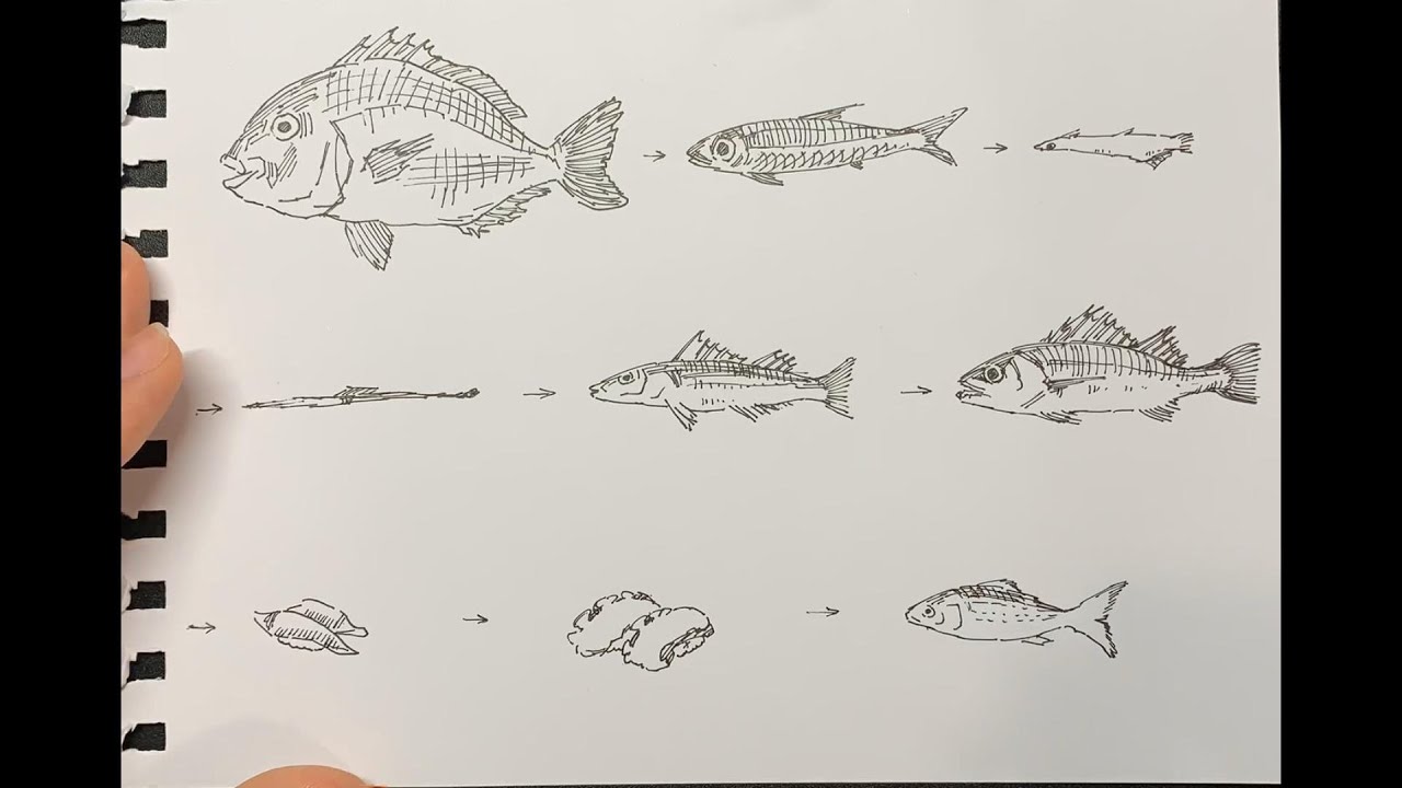 【コント】セトウツミの絵しりとりを再現してみた