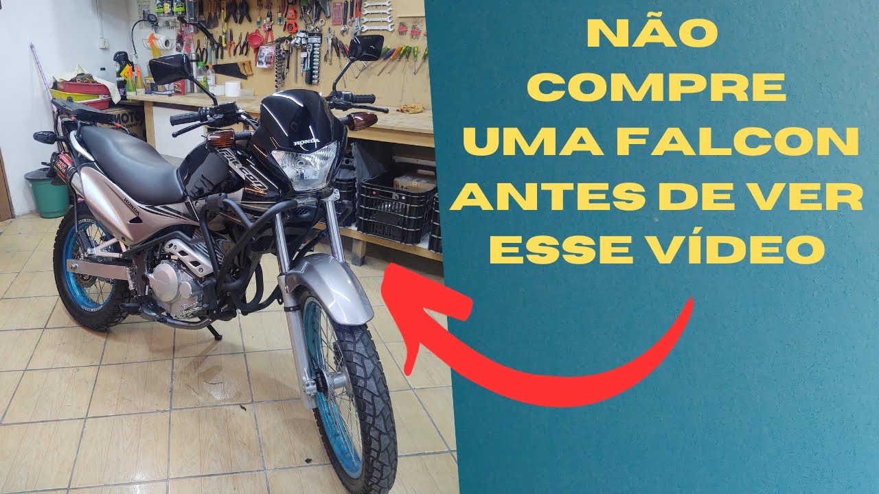 Vai Comprar Uma Falcon O Que  Você Deve  Saber Sobre A Falcon  (detalhes e dicas)