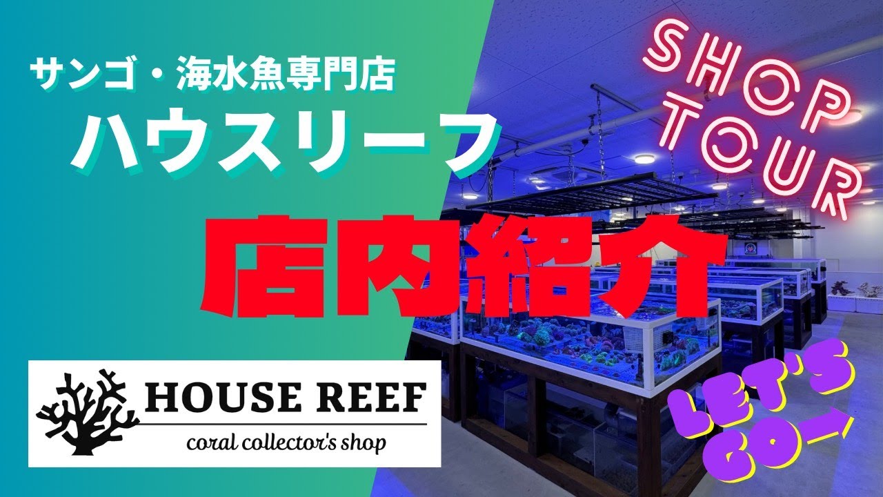サンゴ専門店【 ハウスリーフ 】店内紹介動画
