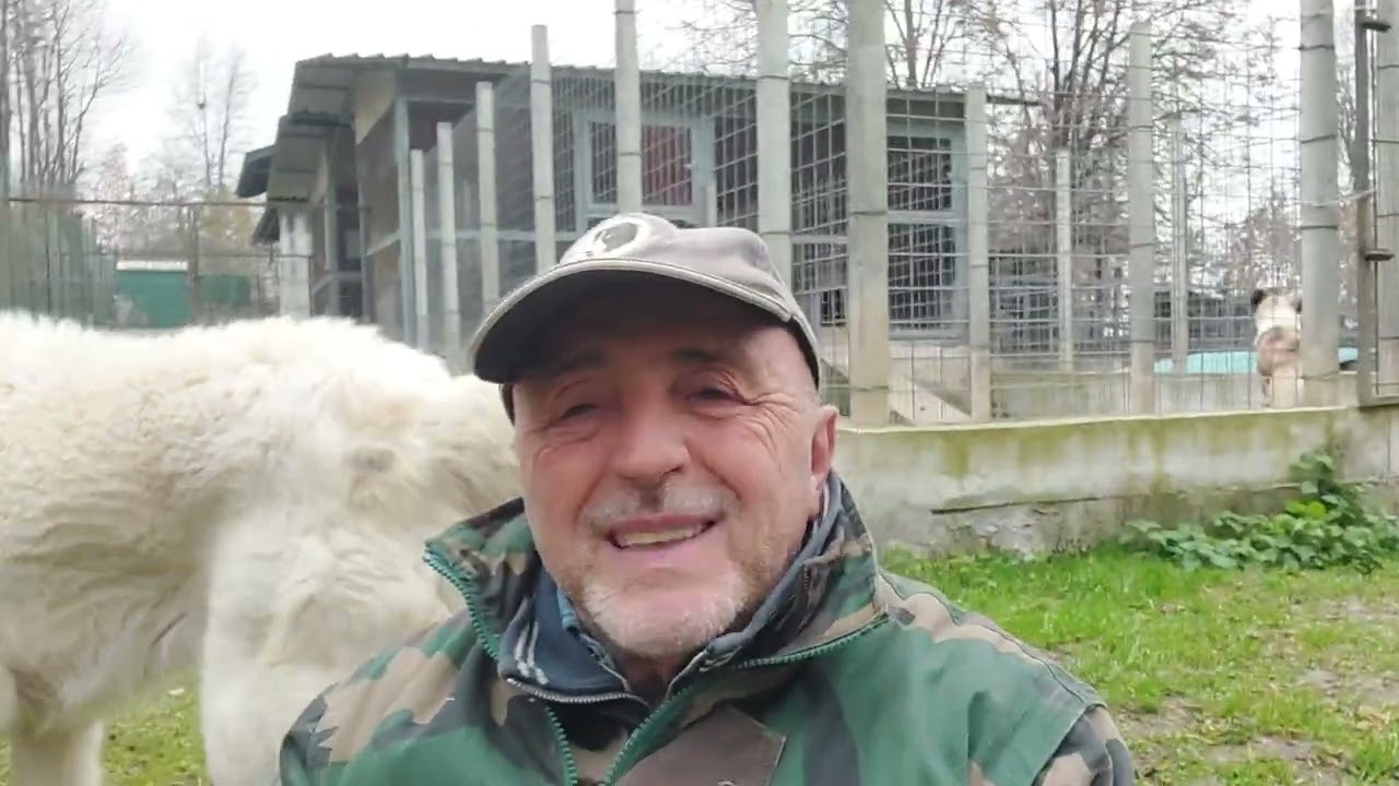 Video 16) Aperto! AK-AJDAR (Drago Bianco - 7 anni) - Pastore dell'Asia centrale da guardia.