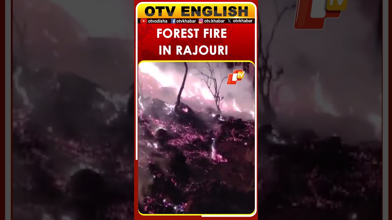 Massive Forest Fire Breaks Out In J&K&rsquo;s Rajouri, Firefighting Ops Underway