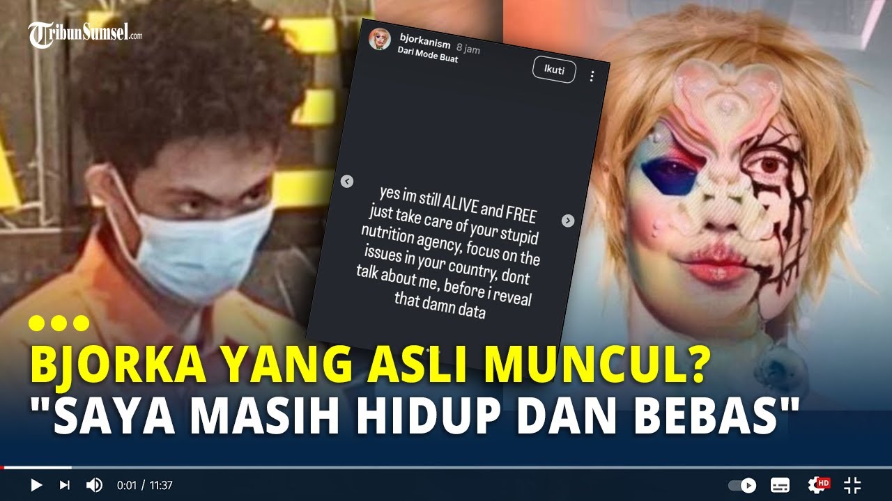 Bjorka yang Asli Muncul?: 