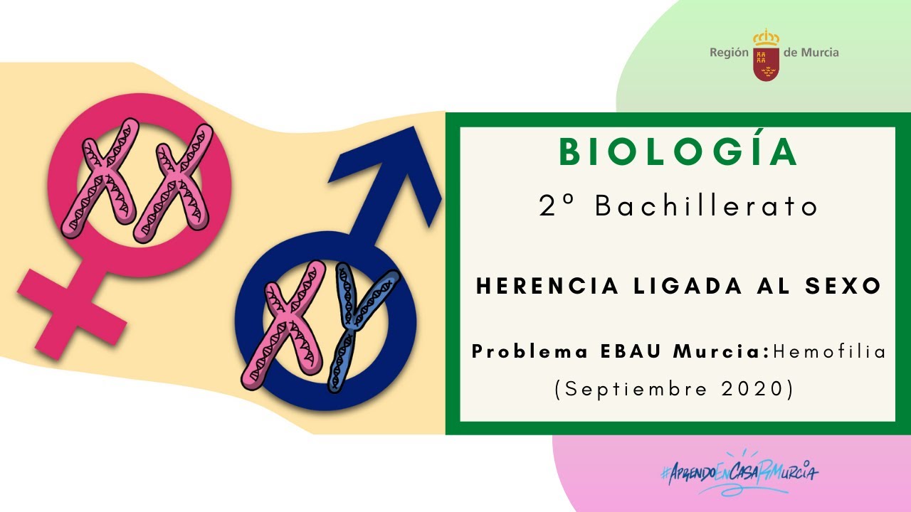 HERENCIA LIGADA AL SEXO: PROBLEMA EBAU (Septiembre 2020)