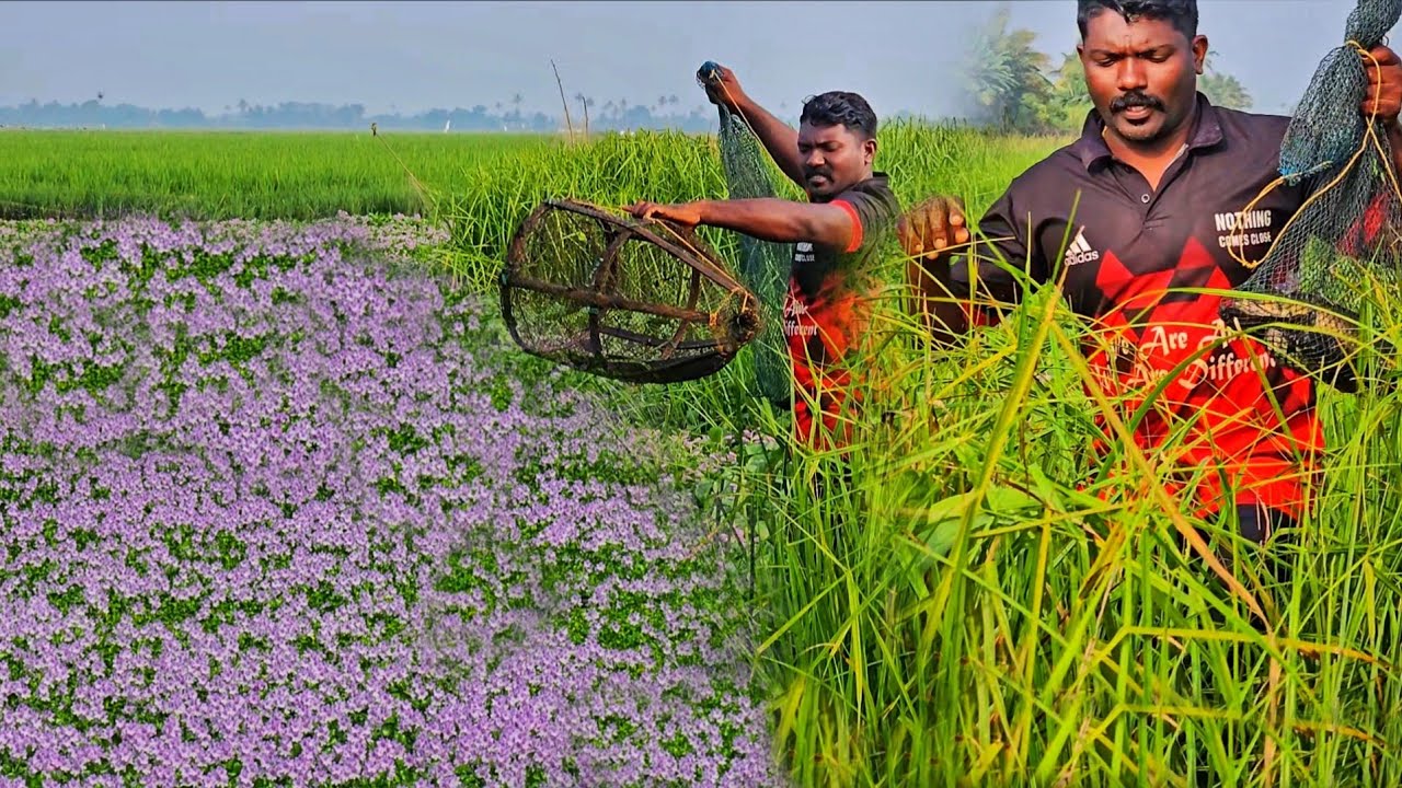 സ്ഥലം കാണാൻ ഭംഗി ആണെങ്കിലും ഇവിടുത്തെ മീൻ പിടുത്തം അല്പം സഹസമാണ് 