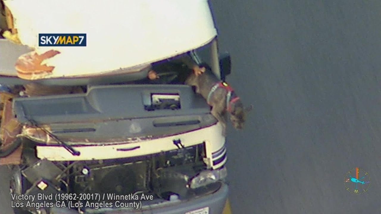 Dog jumps out of moving vehicle, suspect detained after high-speed RV chase in LA