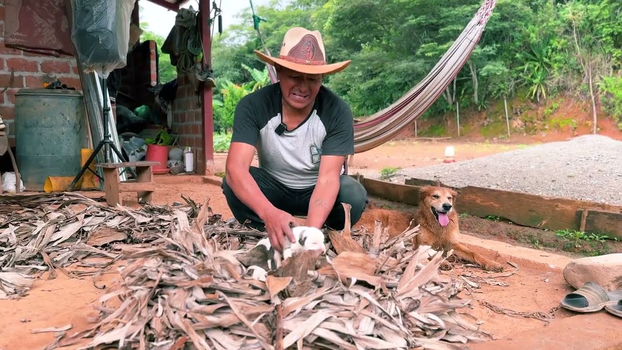 Mis perros son muy meones y mejor les hice una cusha de chante porque la de algodón acumula humedad