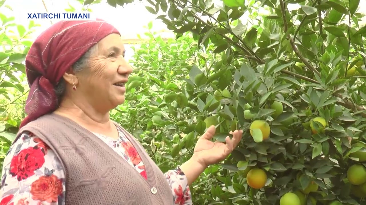 Xatirchi tumanidagi faol xotin -qizlar faoliyati.