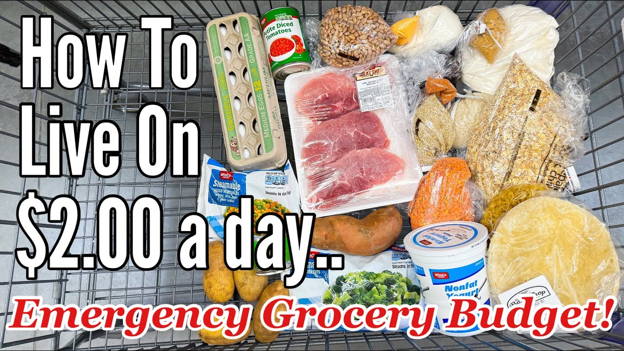 Eating For $2 A Day (Full Week) | Is It Still Possible?