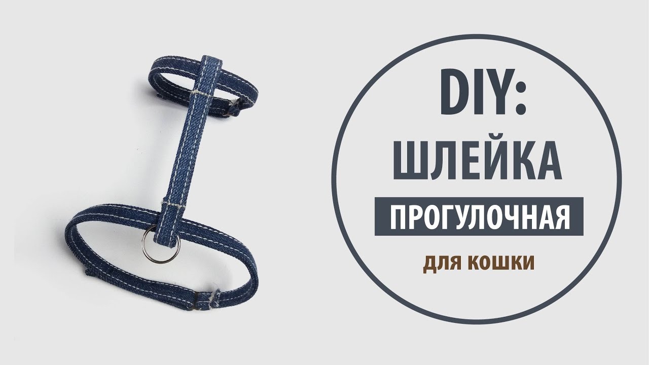 DIY: Джинсовая шлейка для кошки на липучках своими руками | Tutorial Jeans recycle