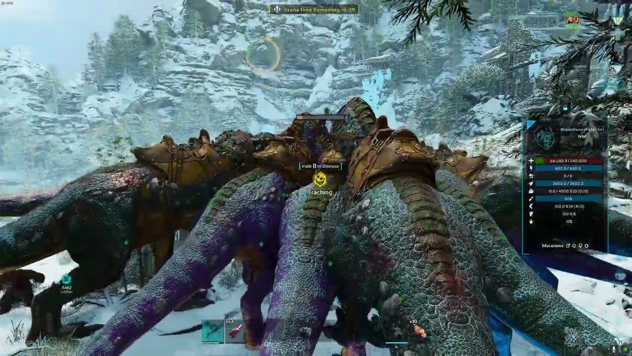 Ark: Survival Ascended Monkey/Megapithecus Alpha Boss Fight with rex PVE Official