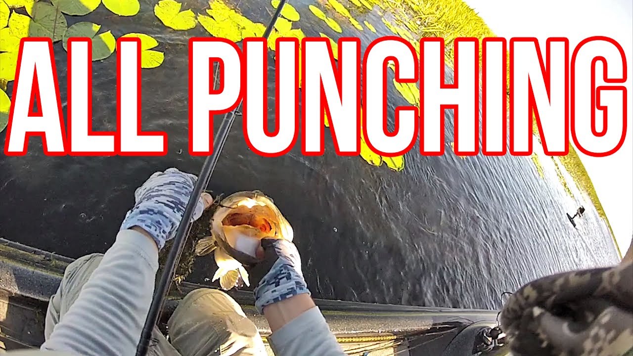 Punching for HUGE Bass in HEAVY Cover