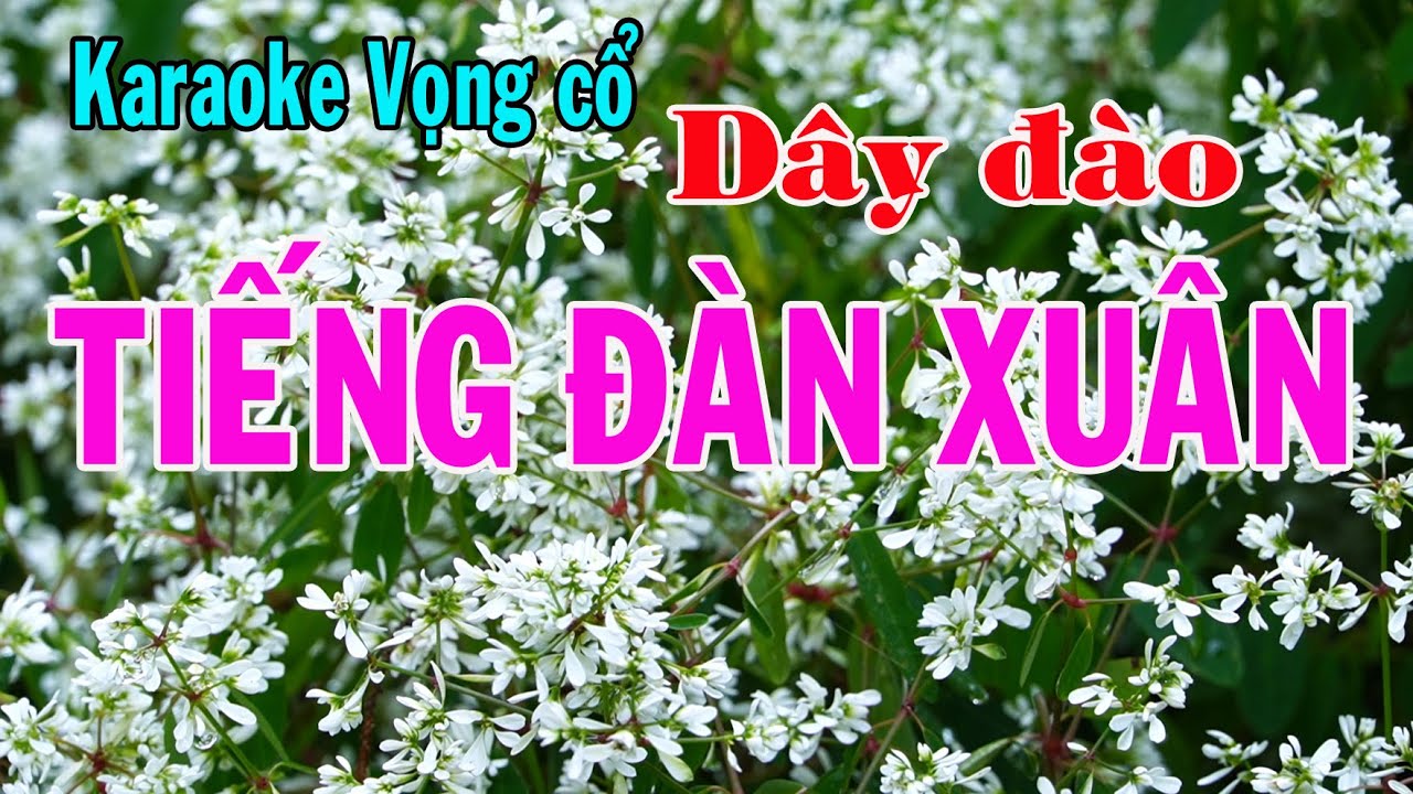 Karaoke vọng cổ TIẾNG ĐÀN XUÂN - DÂY ĐÀO