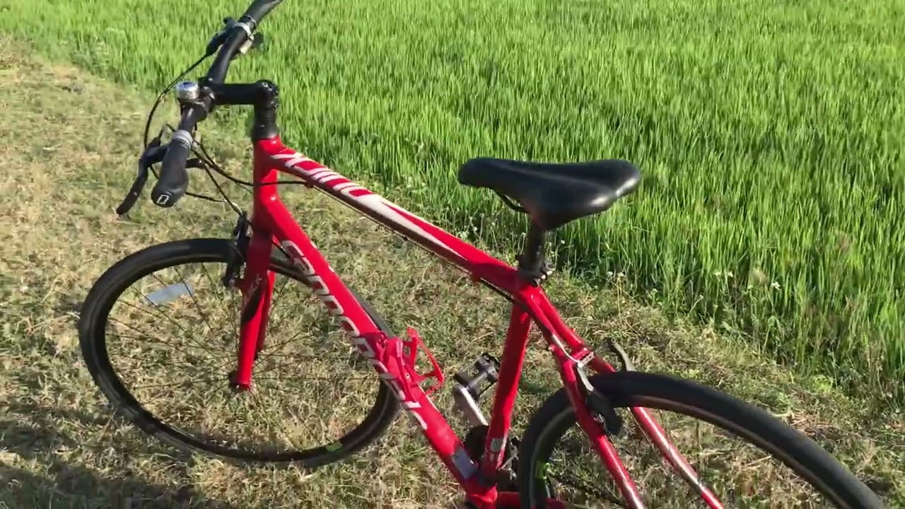 Xe đạp Cannondale đi ruộng vùng quê khánh hoà