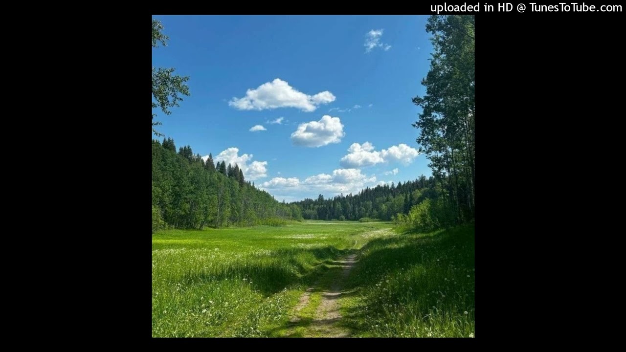✫FREE✫ classic digicore type beat 
