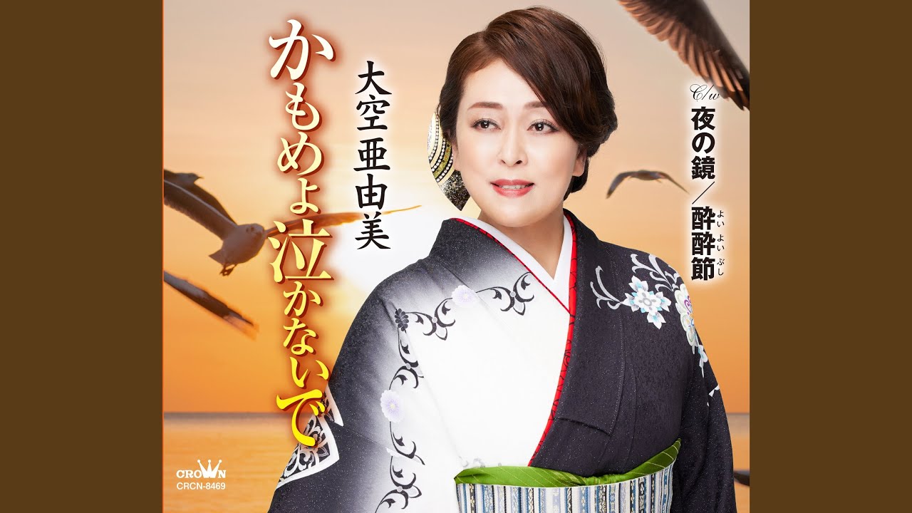 かもめよ泣かないで