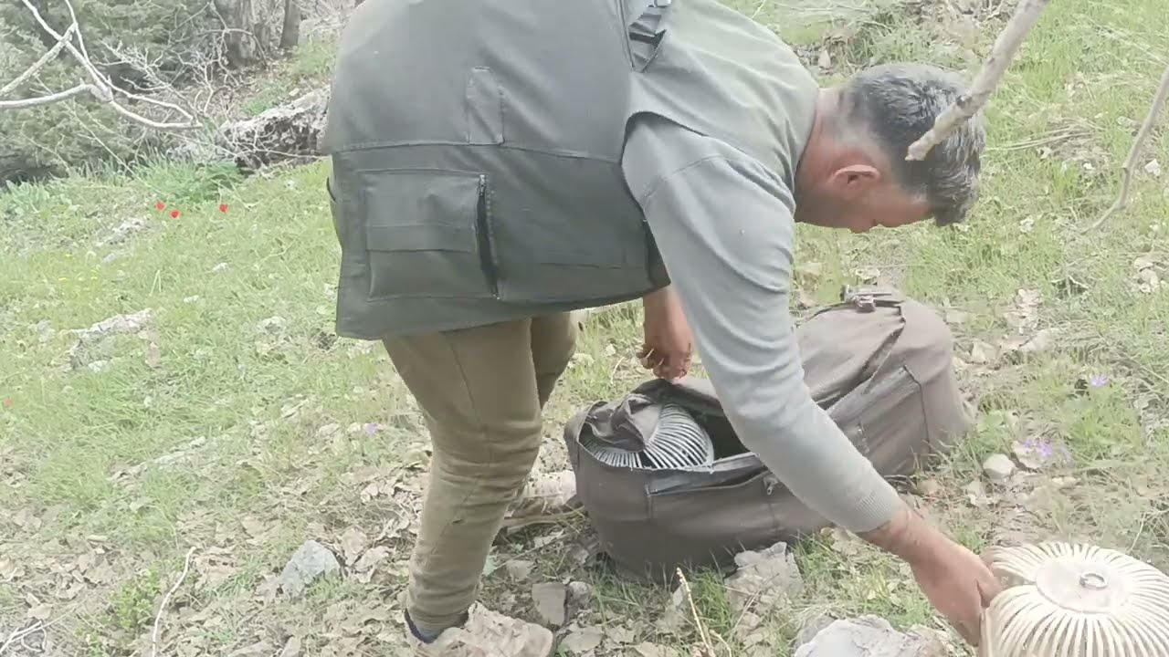 &ccedil;ok g&uuml;zel bi kurak avı