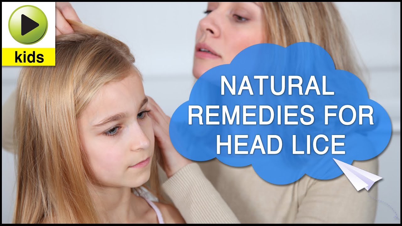 Kids Health: Head Lice - Natural Home Remedies for Head Lice