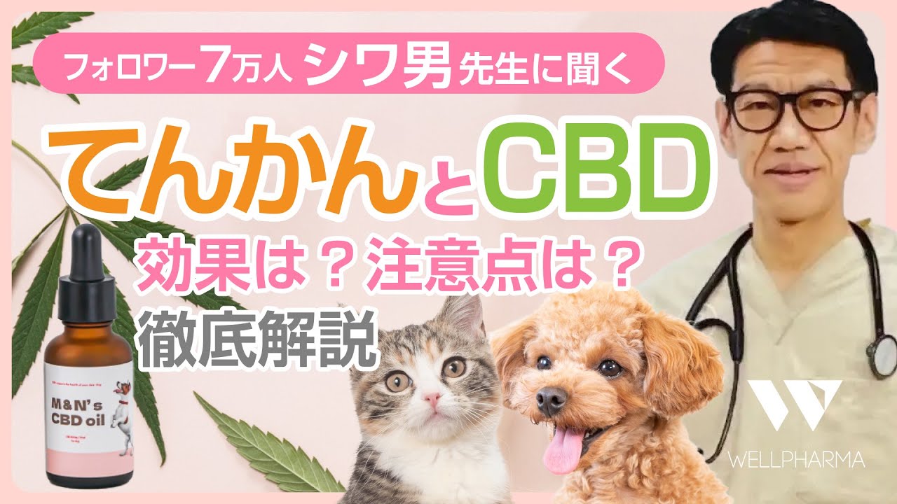 獣医師シワ男先生による解説！てんかんとCBD～効果はあるの？使用上の注意点は？　@vetsiwao