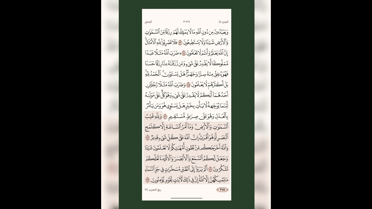 تدبر ومتشابه سورة النحل من الآية ٧٤ إلي الآية ٨٠ لشيختنا الفاضلة حنان العراقي حفظها الله 🍒