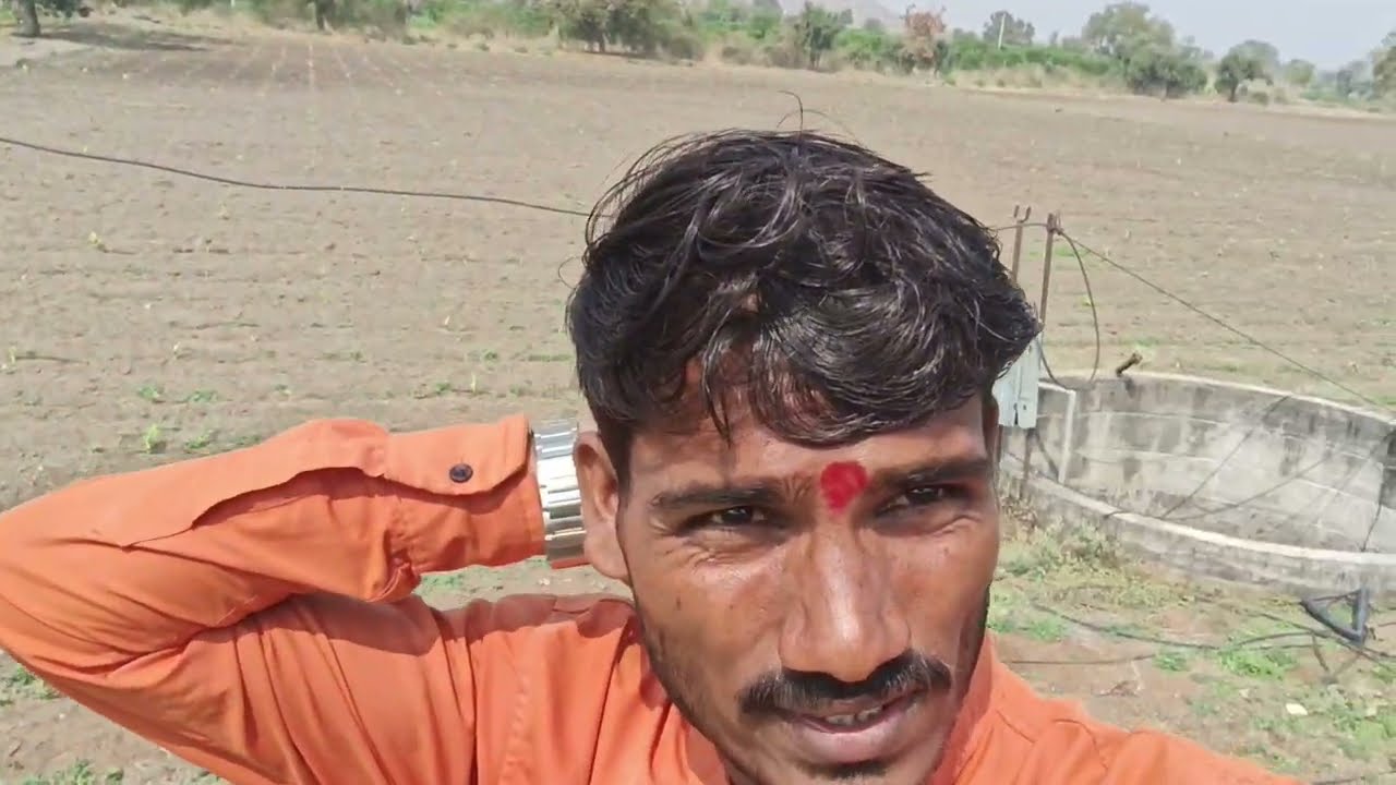 मका पूर्णपणे सुकली होती//केळी ला खत दिलं होतं Mini vlog 