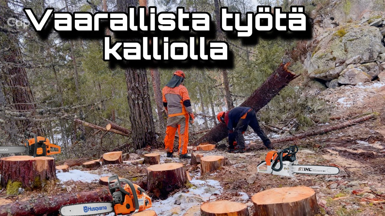 Yli 100 puuta nurin kalliolla – Raskas urakka / Onko Hyvä