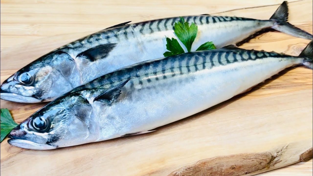 秋季是品尝鲭鱼的最佳时节/ 简单快捷食谱【煎鲭鱼】营养又美味