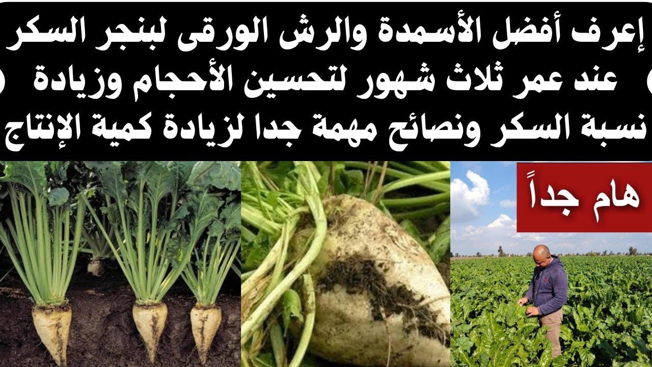 #إعرف