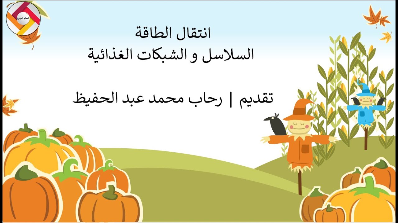 انتقال الطاقة السلاسل و الشبكات الغذائية