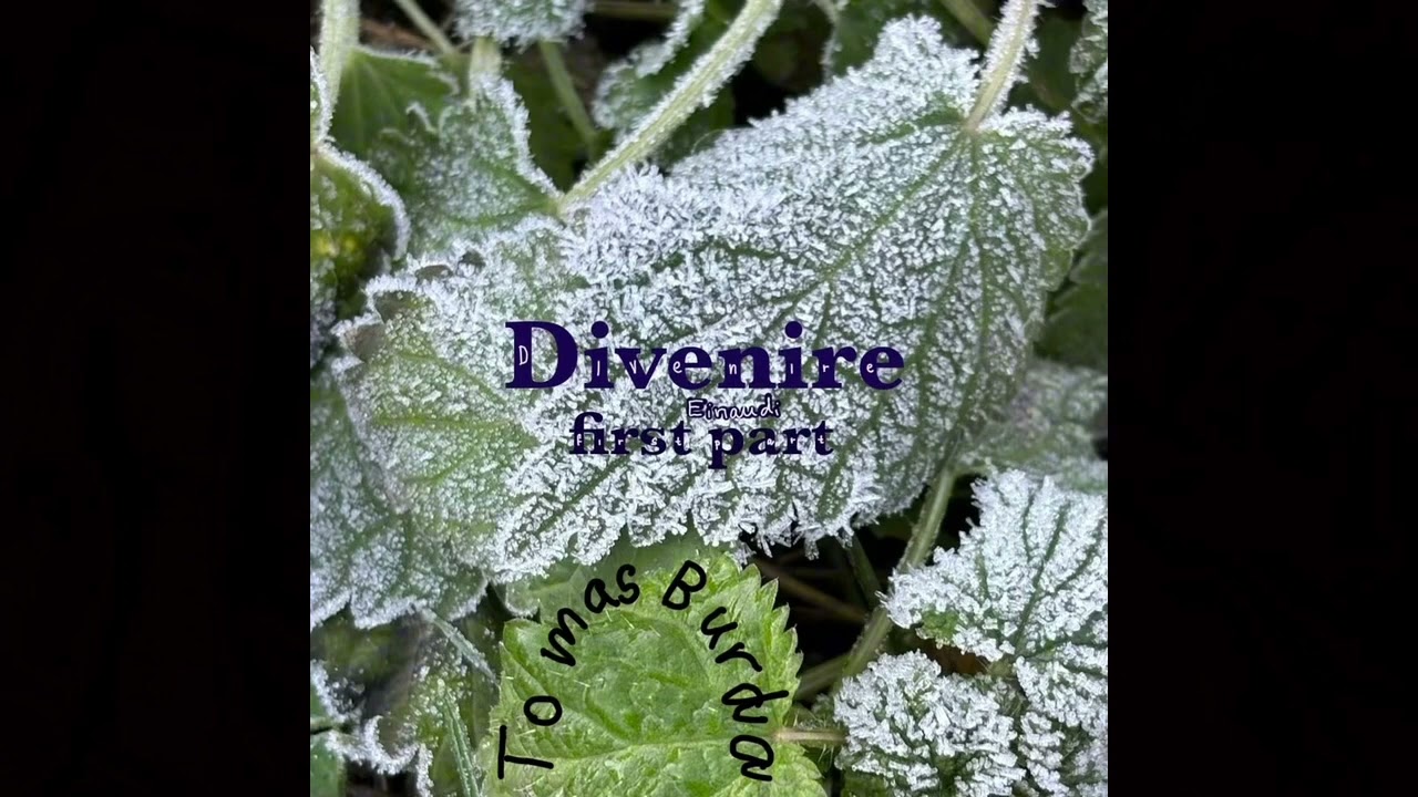 Tomas Burda- Divenire (Ludovico Einaudi @ludovicoeinaudi ) (official music video)
