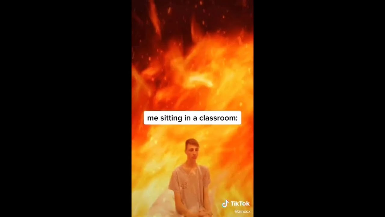 tiktoks to watch when you’ve just about had it
