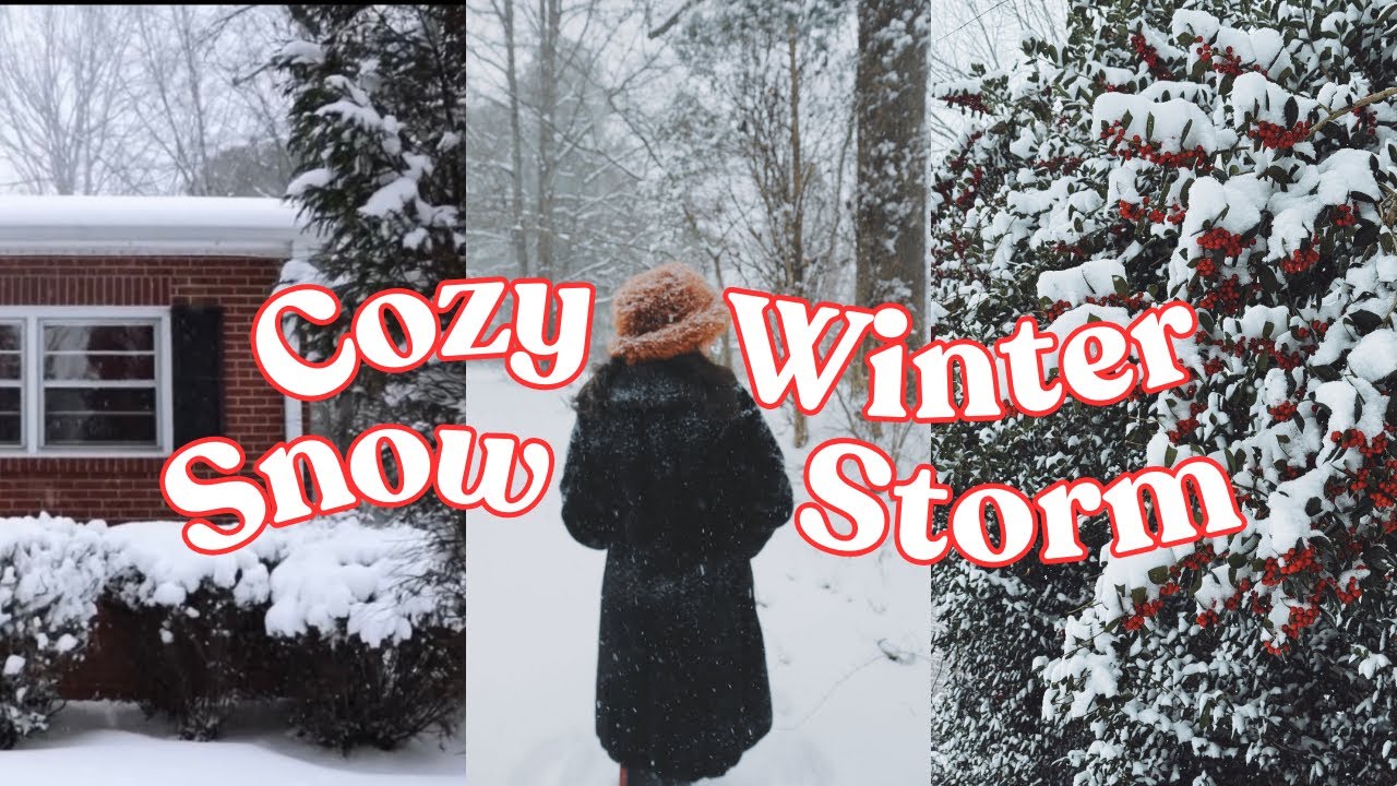 A COZY WINTER SNOWSTORM ❄️