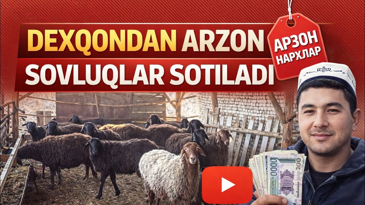 ZOR NARXDA DEXQONDA ARZON SOVLUQLAR SOTILADI ✅