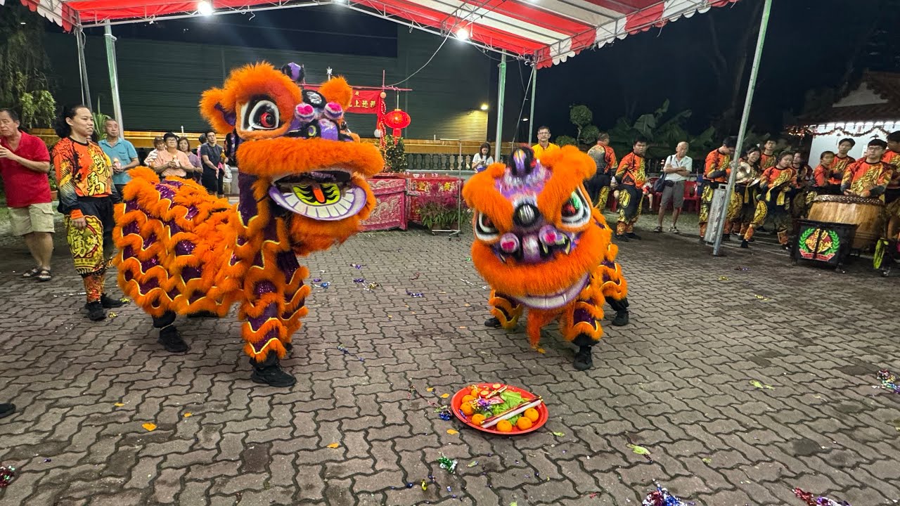 獅城勁勇龍獅院 Shi Cheng Jin Yong Dragon & Lion Dance Cai Qing Performance at  廣明堂 3 March 2026