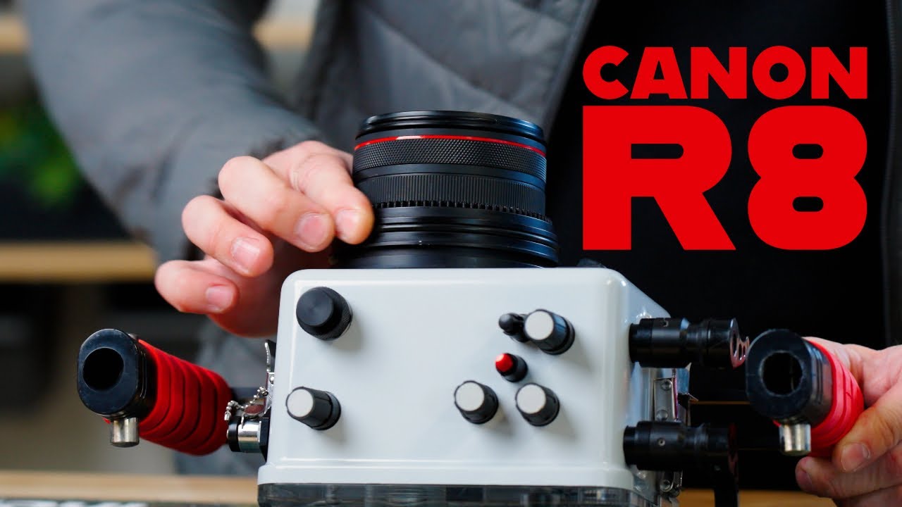Canon R8 // Underwater Housing Assembly Ikelite 200DLM/D