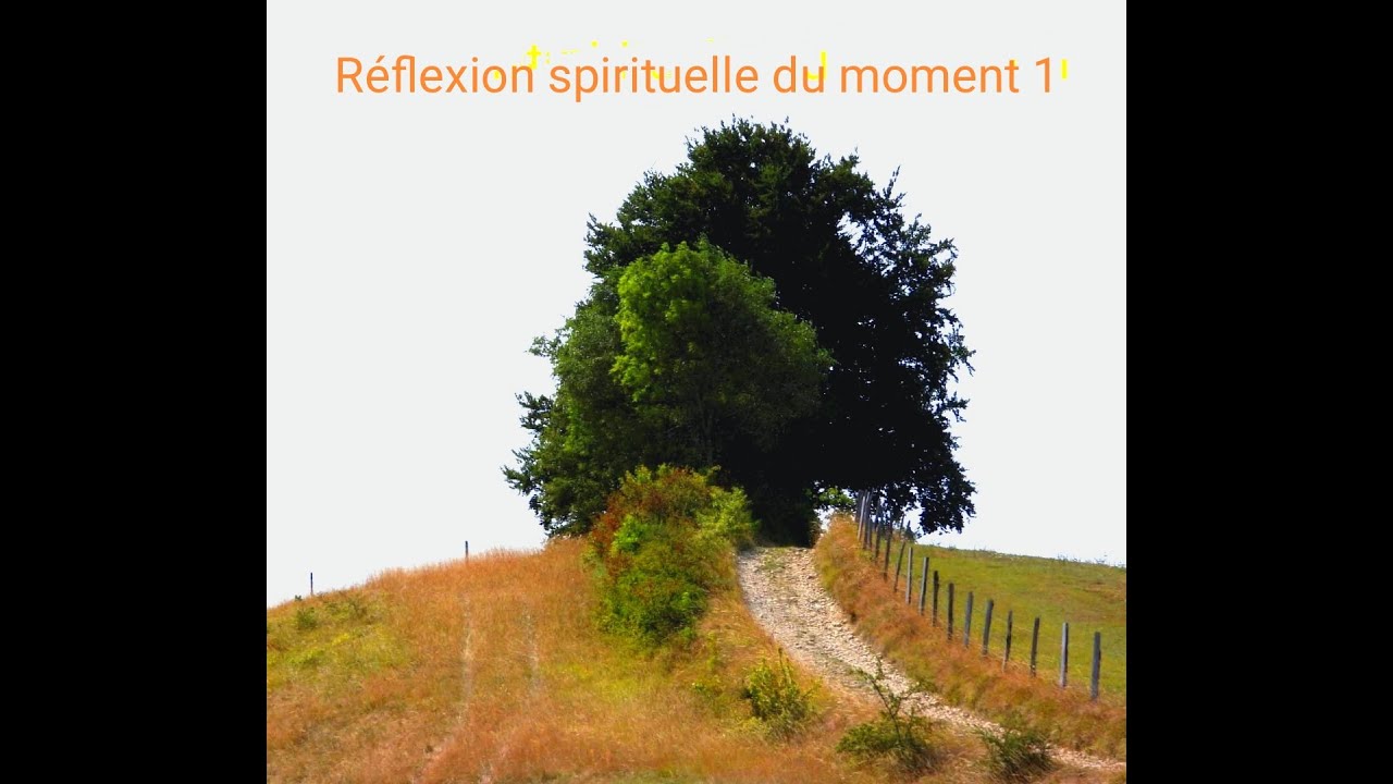 R&eacute;flexion spirituelle du moment 1: Nous avons &agrave; passer le Chas de l'Aiguille, pas le chameau ego...