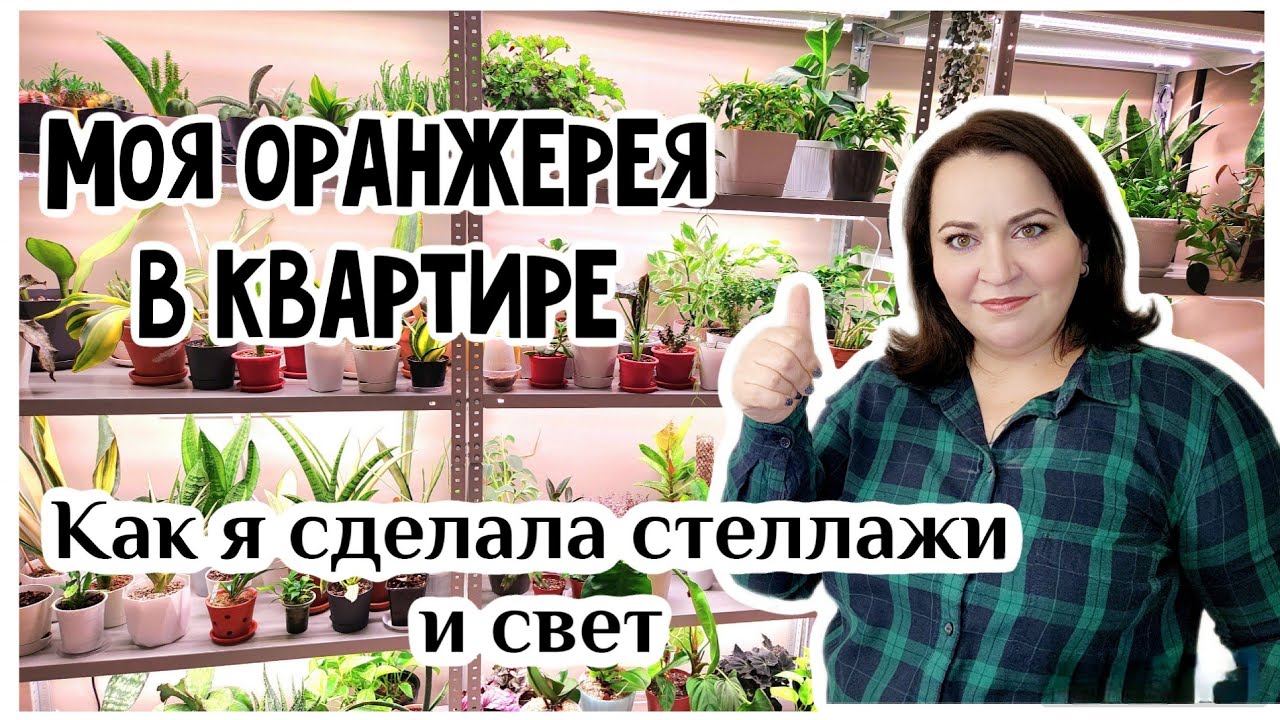 Обзор новинок и растений в спальне. Организация стеллажей и монтаж фитоламп.