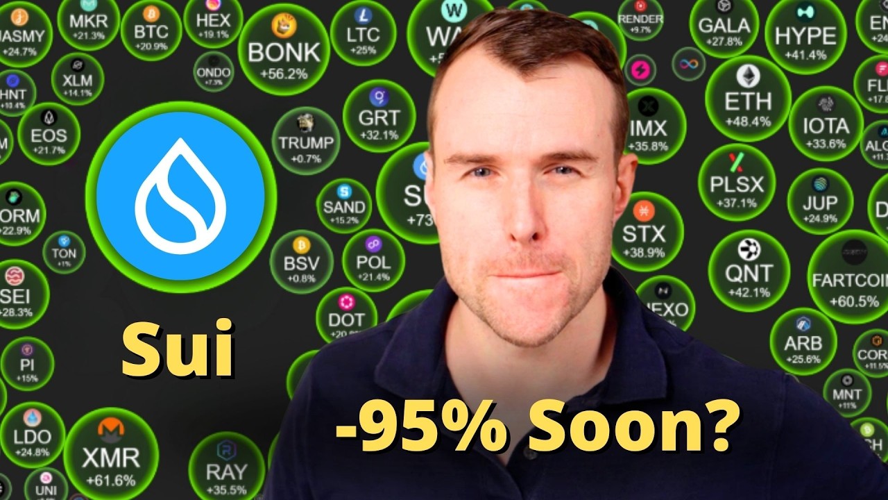 Buy The Sui Crash? 🤔 Crypto Token Analysis