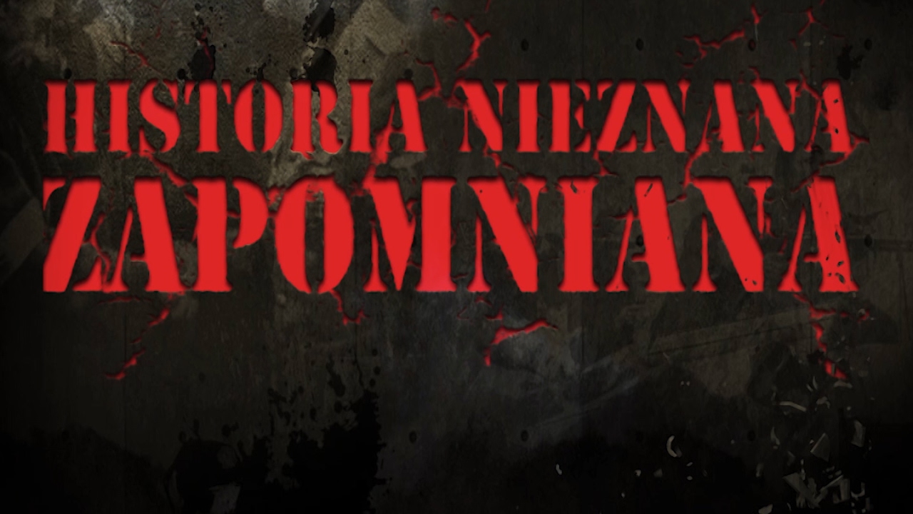 TAP Tajna Armia Polska: Kulisy Powstania oraz Ludzie cz2 Historia Nieznana Zapomniana