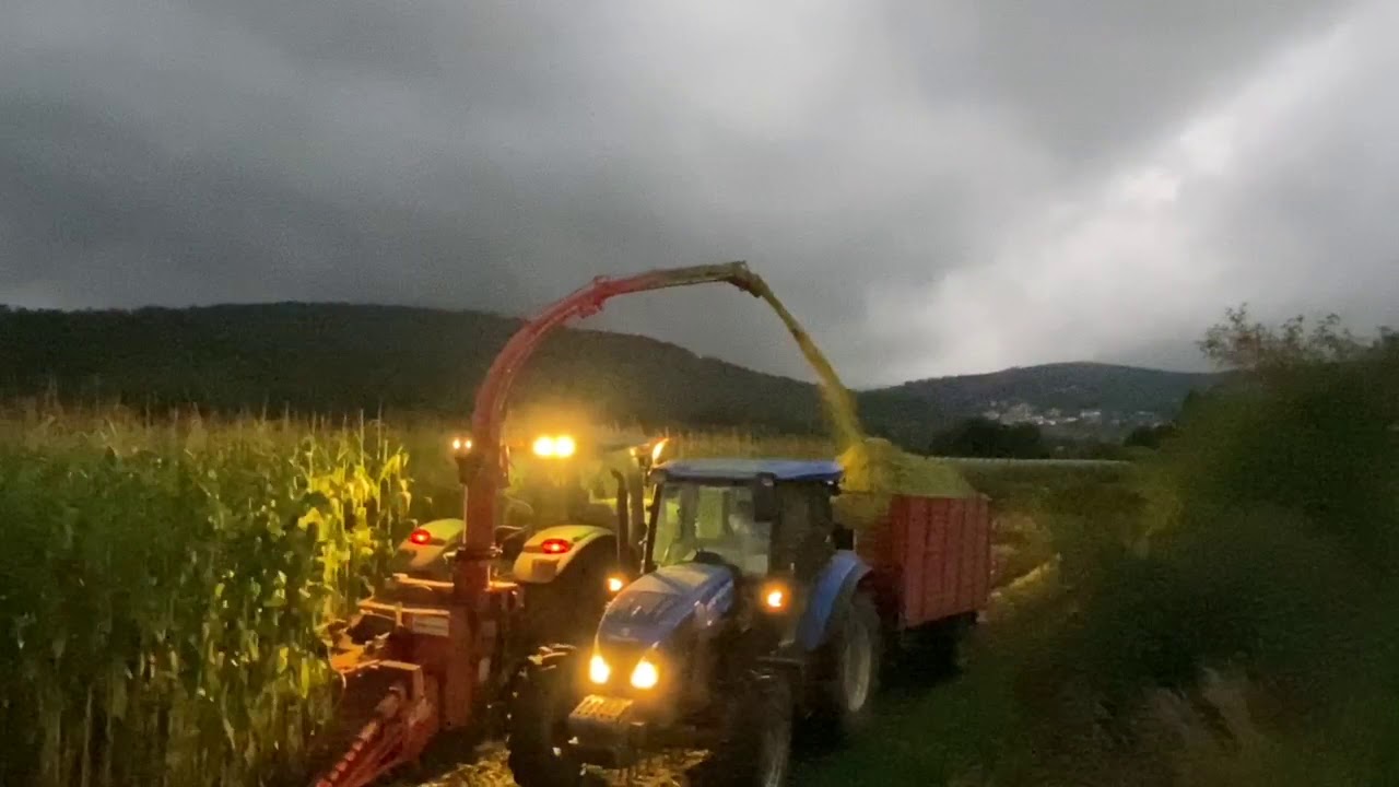 Silagem De Milho2019 Agro Olhero