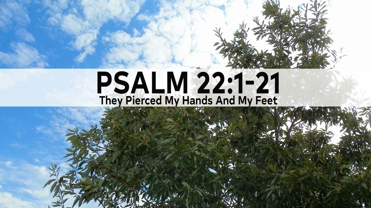 Psalm 22:1-21 - They Pierced My Hands And My Feet