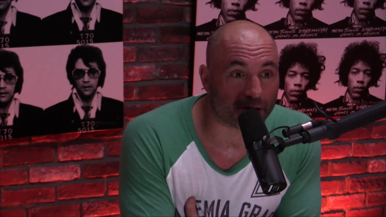 Milo Yiannopoulos Comments on Pedophilia and Pedereasty (from Joe Rogan Experience #702)