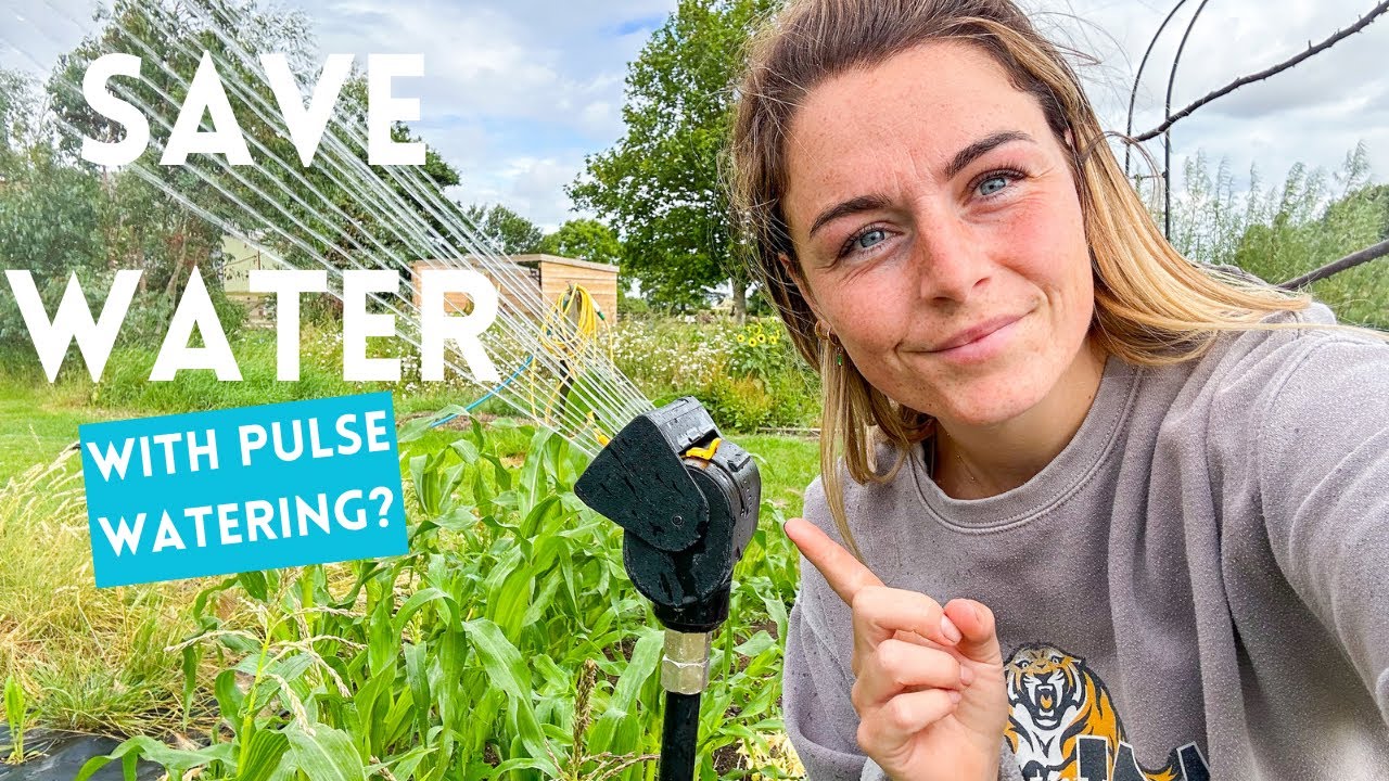 Can Pulse Watering Improve Soil & Plant Health? Water Saving Irrigation Technique 💦