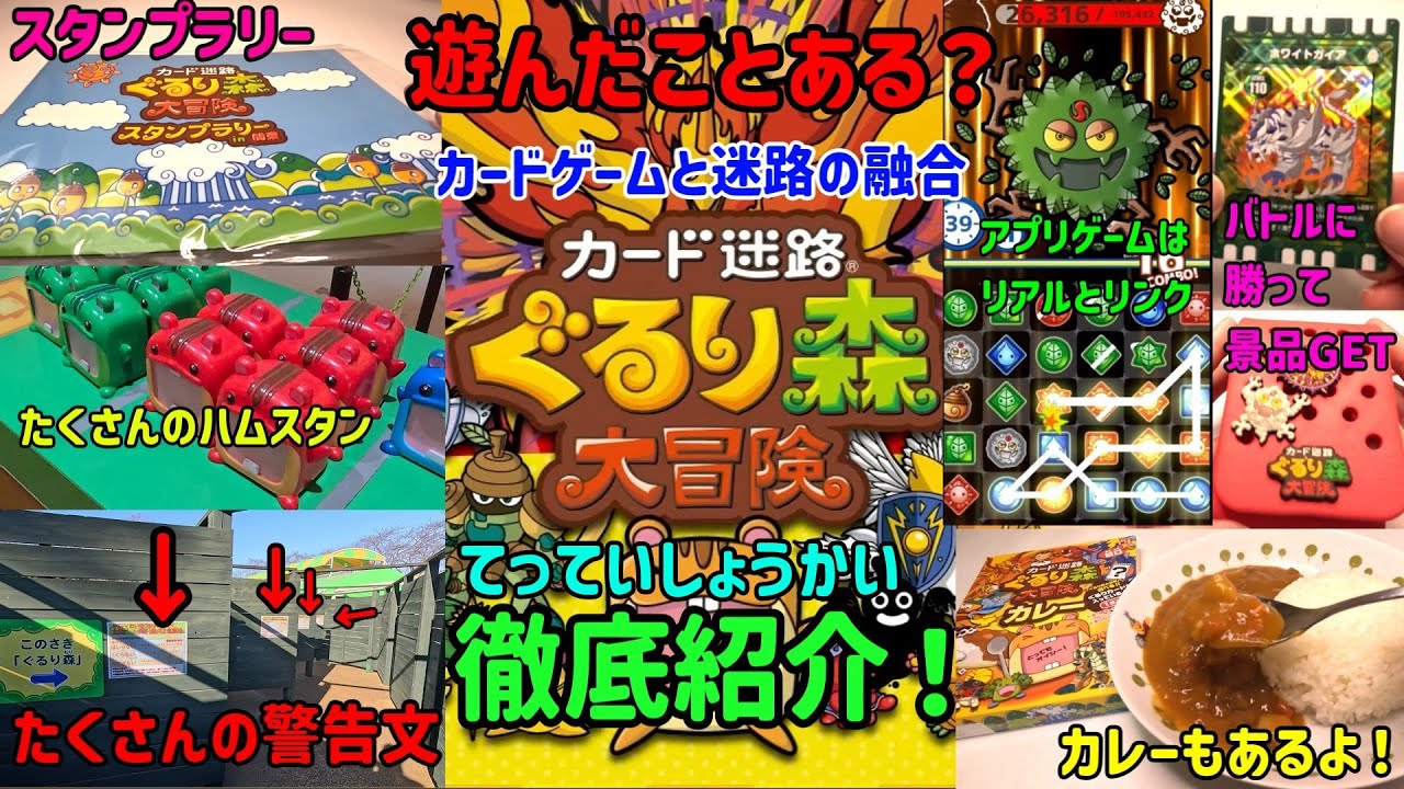 これはマジヤバ！！迷路とカードゲームの融合！？『カード迷路ぐるり森大冒険』を徹底紹介！！子供がハマるには訳がある！！